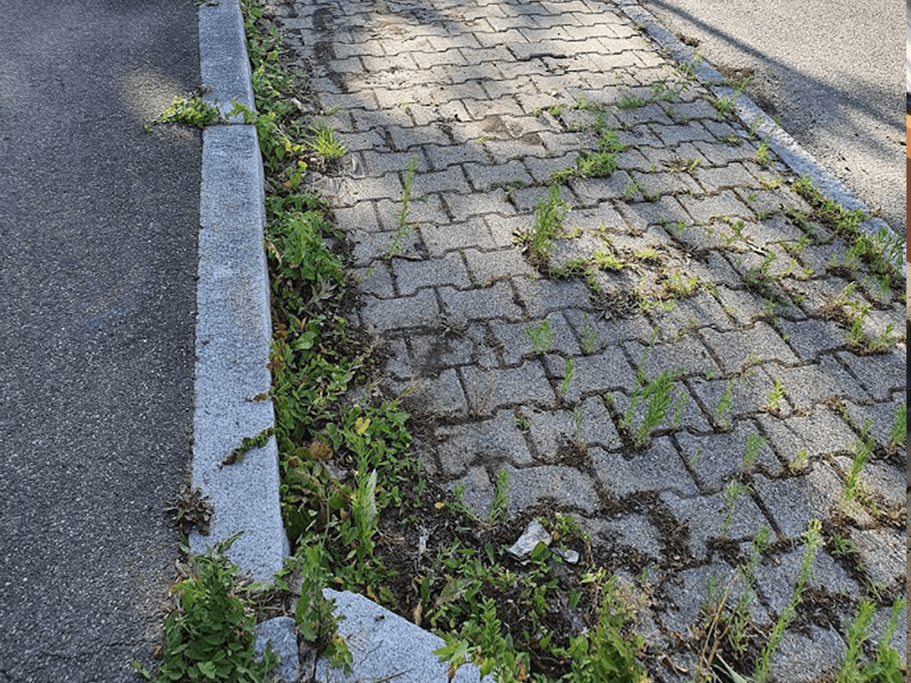 Verschmutzte Pflastersteine vor der Reinigung