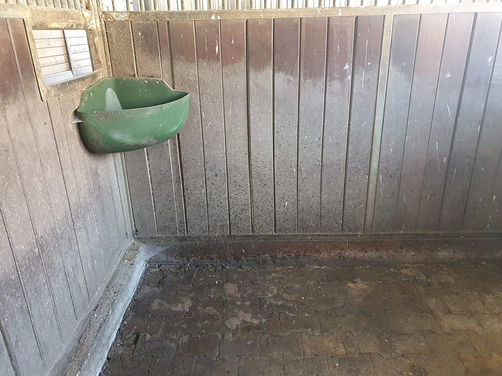 Pferdestall Reinigung Boxen und Stallgasse in Böblingen
